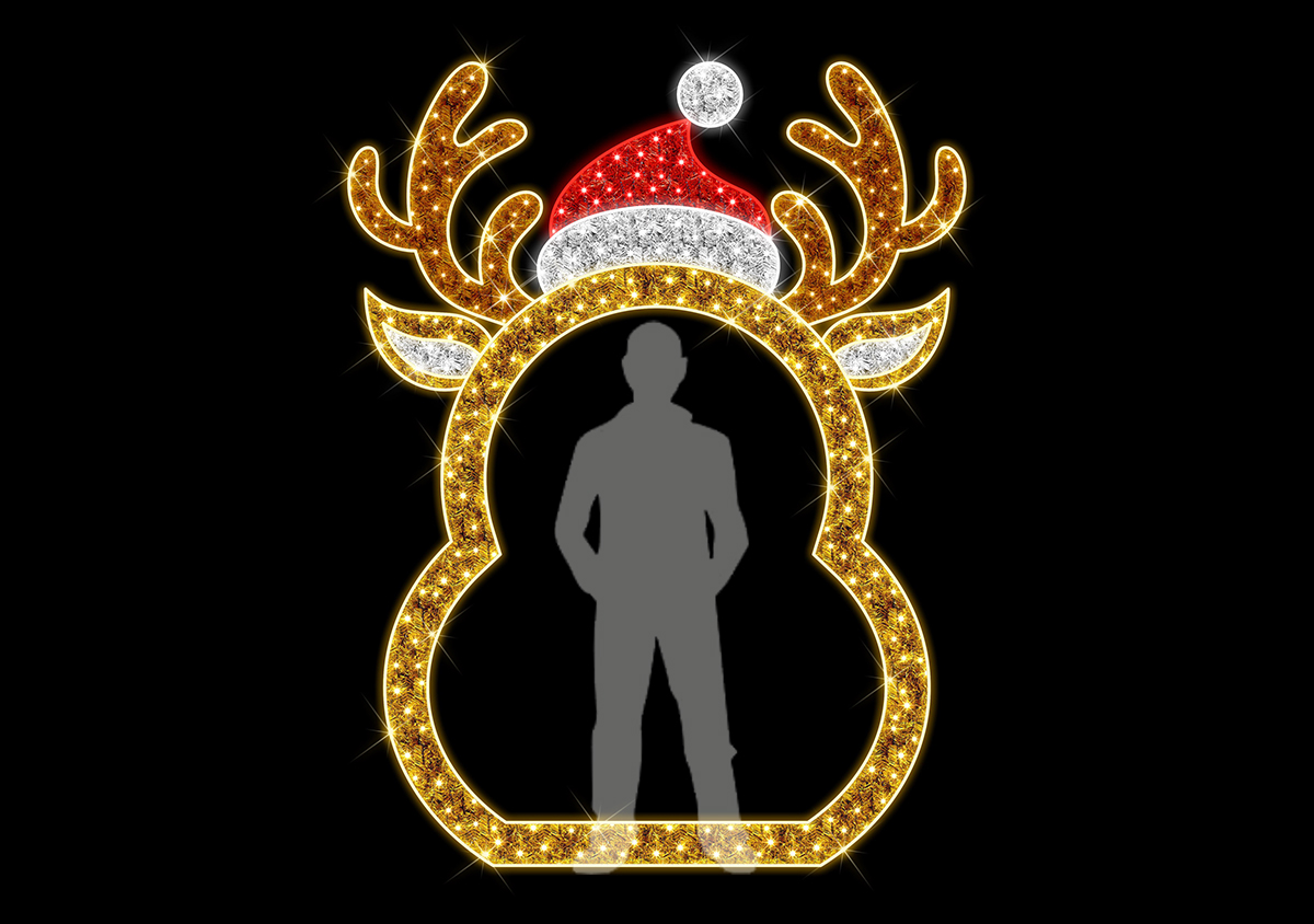 reindeer photo opportunity