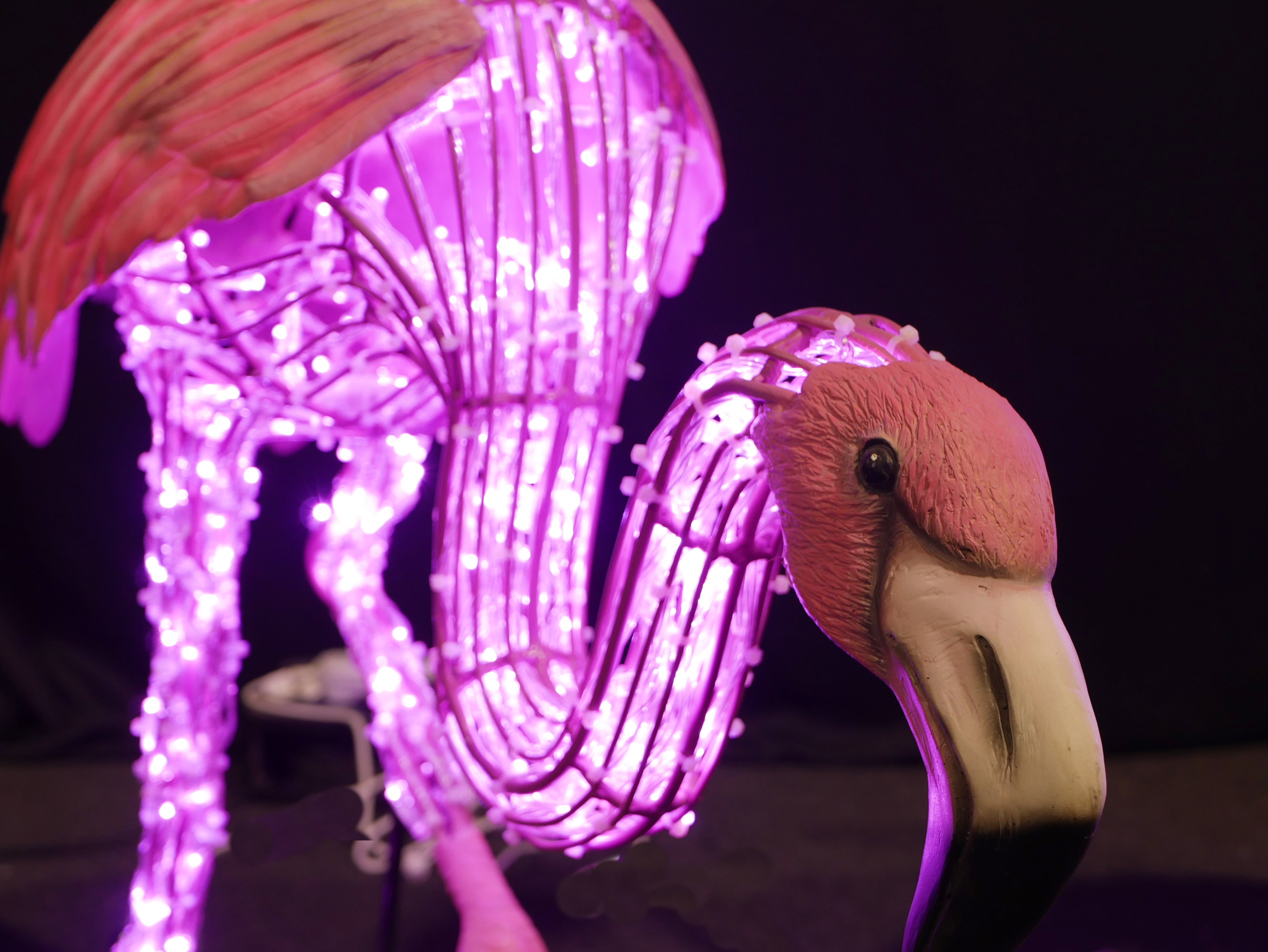 Flamingo Standing on One Leg 36x118x99cm - Image 6