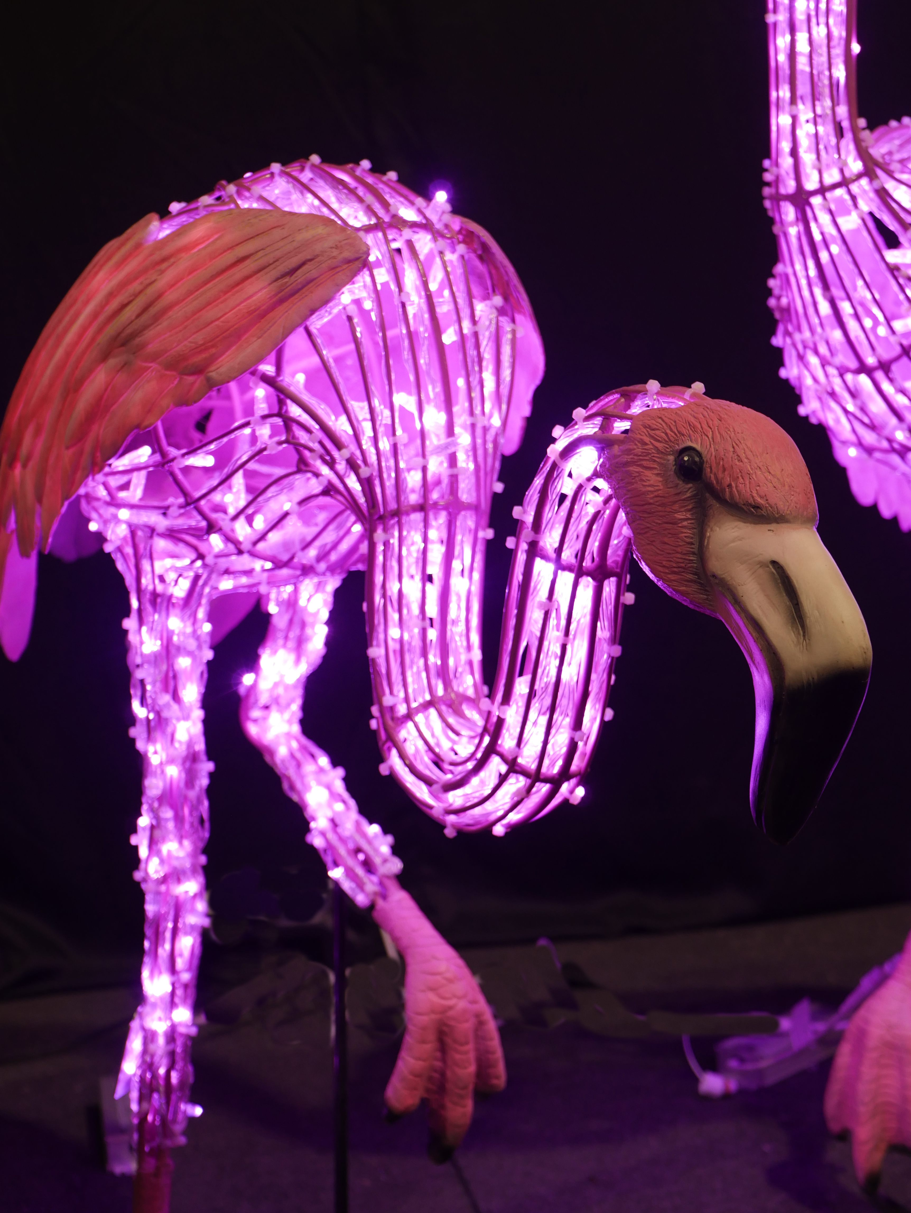 Flamingo Standing on One Leg 36x118x99cm - Image 7